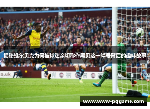揭秘维尔贝克为何被球迷亲切称作黑贝这一绰号背后的趣味故事
