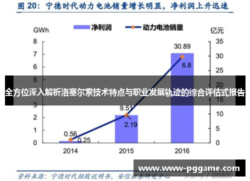 全方位深入解析洛塞尔索技术特点与职业发展轨迹的综合评估式报告