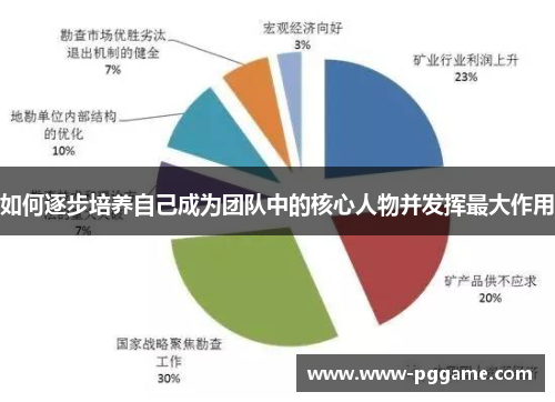 如何逐步培养自己成为团队中的核心人物并发挥最大作用